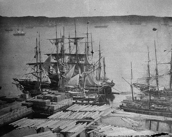 Lumber Timber Quebec City Trade Nineteenth Century