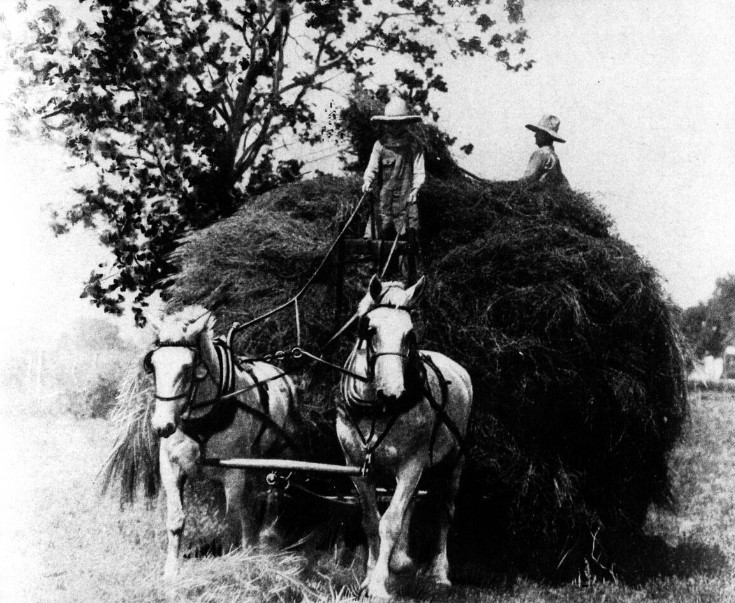 Quebec farm hay harvest 1930s French Canadians