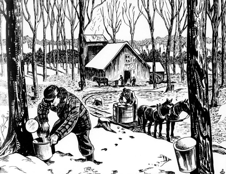 Maple sugar syrup Quebec farm 1930s