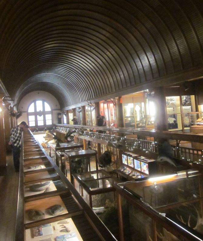 Fairbanks Museum and Planetarium